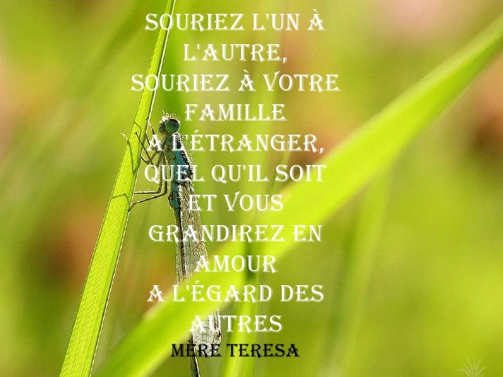 le sourire citation belles photos sur la nature citations sur quot le sourire quot le sourire citation belles photos sur la nature citations sur quot le sourire quot