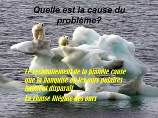 Quelle est la cause du problème? <ul><li>Le  réchauffement  de la  planète cause que la banquise ou les ours polaires habi...