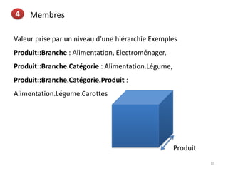 10
4 Membres
Valeur prise par un niveau d’une hiérarchie Exemples
Produit::Branche : Alimentation, Electroménager,
Produit::Branche.Catégorie : Alimentation.Légume,
Produit::Branche.Catégorie.Produit :
Alimentation.Légume.Carottes
Produit
 