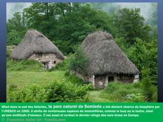 Situé dans le sud des Asturies, le parc naturel de Somiedo a été déclaré réserve de biosphère par
l’UNESCO en 2000. Il abrite de nombreuses espèces de mammifères, comme le loup ou la loutre, ainsi
qu'une multitude d'oiseaux. C’est aussi et surtout le dernier refuge des ours bruns en Europe.
©  Francisco Javier Gil - Fotolia.com
 