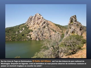 Sur les rives du Tage en Estrémadure, El Salto del Gitano est l’un des trésors du parc national de
Monfragüe. Empreint de légende, c'est un belvédère où vous pourrez observer de nombreux vautours et
passer un moment magique au coucher du soleil ! ©  Euqirneto - Fotolia.com
 