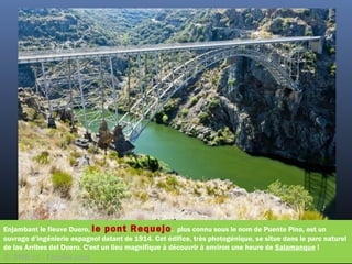 Enjambant le fleuve Duero, le pont Requejo, plus connu sous le nom de Puente Pino, est un
ouvrage d’ingénierie espagnol datant de 1914. Cet édifice, très photogénique, se situe dans le parc naturel
de las Arribes del Duero. C'est un lieu magnifique à découvrir à environ une heure de Salamanque !
©  PHB.cz - Fotolia.com
 