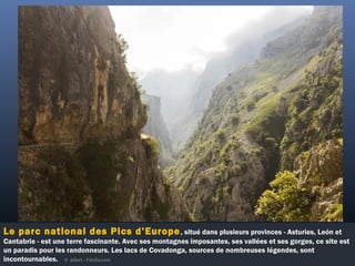 Le parc national des Pics d’Europe, situé dans plusieurs provinces - Asturies, León et
Cantabrie - est une terre fascinante. Avec ses montagnes imposantes, ses vallées et ses gorges, ce site est
un paradis pour les randonneurs. Les lacs de Covadonga, sources de nombreuses légendes, sont
incontournables. ©  aidart - Fotolia.com
 