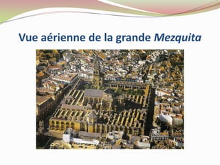 Vue aérienne de la grande Mezquita
 