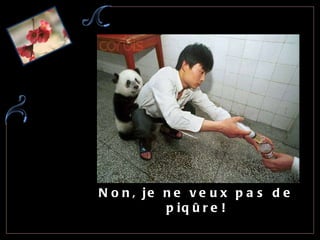 Non, je ne veux pas de piqûre! 