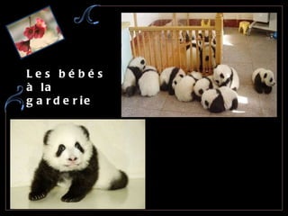Les bébés à la garderie 