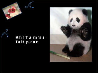 Ah! Tu m'as fait peur 