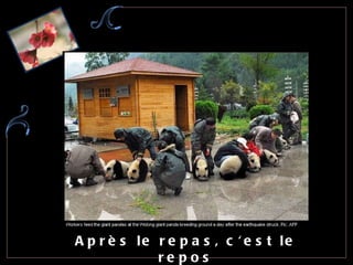 Après le repas, c'est le repos 