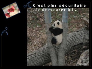 C'est plus sécuritaire  de demeurer ici...  