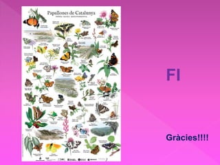 Gràcies!!!!
FI
 