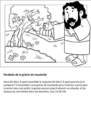 Parabole de la graine de moutarde
Jésus dit alors: A quoi ressemble le royaume de Dieu? A quoi pourrais-je le
comparer? Il ressemble à une graine de moutarde qu’un homme a prise pour
la semer dans son jardin; la graine pousse jusqu’à devenir un arbuste, et les
oiseaux du ciel nichent dans ses branches. (Luc 13:18-19)
 