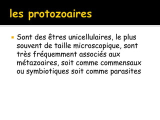  Sont des êtres unicellulaires, le plus
souvent de taille microscopique, sont
très fréquemment associés aux
métazoaires, soit comme commensaux
ou symbiotiques soit comme parasites
 