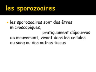  les sporozoaires sont des êtres
microscopiques,
pratiquement dépourvus
de mouvement, vivant dans les cellules
du sang ou des autres tissus
 