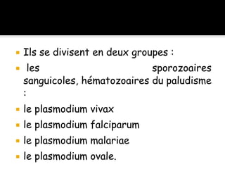  Ils se divisent en deux groupes :
 les sporozoaires
sanguicoles, hématozoaires du paludisme
:
 le plasmodium vivax
 le plasmodium falciparum
 le plasmodium malariae
 le plasmodium ovale.
 