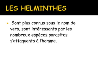  Sont plus connus sous le nom de
vers, sont intéressants par les
nombreux espèces parasites
s’attaquants à l’homme.
 