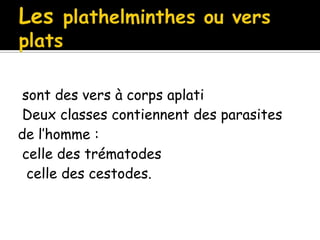 sont des vers à corps aplati
Deux classes contiennent des parasites
de l’homme :
celle des trématodes
celle des cestodes.
 