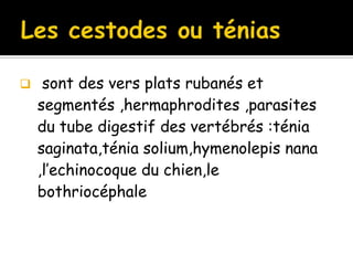  sont des vers plats rubanés et
segmentés ,hermaphrodites ,parasites
du tube digestif des vertébrés :ténia
saginata,ténia solium,hymenolepis nana
,l’echinocoque du chien,le
bothriocéphale
 