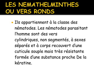  Ils appartiennent à la classe des
nématodes. Les nématodes parasitant
l’homme sont des vers
cylindriques, non segmentés, à sexes
séparés et à corps recouvert d’une
cuticule souple mais très résistante
formée d’une substance proche De la
kératine.
 