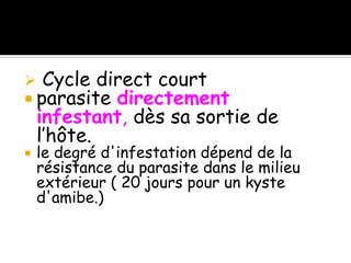  Cycle direct court
 parasite directement
infestant, dès sa sortie de
l’hôte.
 le degré d'infestation dépend de la
résistance du parasite dans le milieu
extérieur ( 20 jours pour un kyste
d'amibe.)
 