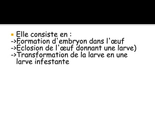  Elle consiste en :
->Formation d'embryon dans l'œuf
->Éclosion de l'œuf donnant une larve)
->Transformation de la larve en une
larve infestante
 