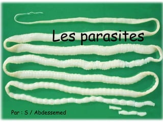 Les parasites
Par : S / Abdessemed
 
