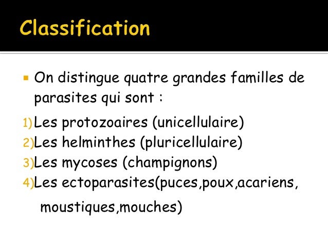 Si on peut est le porc infecté par les helminthes