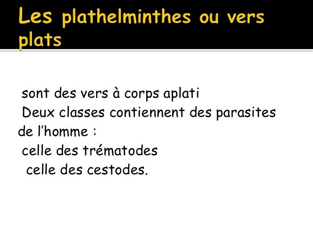 Les aspects des parasites vivant dans lintestin de la personne