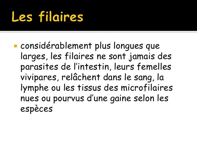 Les signes de lapparition des helminthes chez le chaton