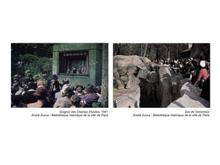 Guignol des Champs Elysées, 1941 André Zucca - Bibliothèque historique de la ville de Paris Zoo de Vincennes André Zucca - Bibliothèque historique de la ville de Paris 