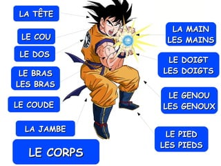 LA TÊTELA TÊTE
LE COULE COU
LE DOSLE DOS
LA MAINLA MAIN
LES MAINSLES MAINS
LA JAMBELA JAMBE
LE PIEDLE PIED
LES PIEDSLES PIEDS
LE GENOULE GENOU
LES GENOUXLES GENOUX
LE DOIGTLE DOIGT
LES DOIGTSLES DOIGTSLE BRASLE BRAS
LES BRASLES BRAS
LE COUDELE COUDE
LE CORPSLE CORPS
 