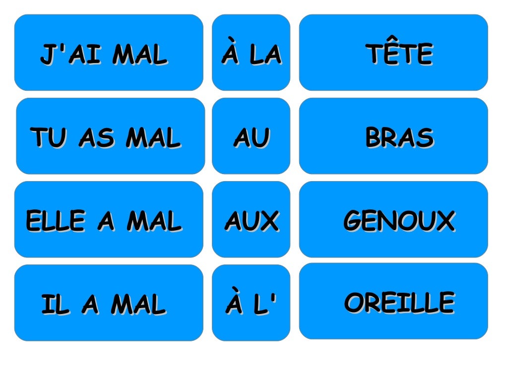 Les parties du corps