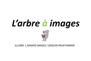 L’arbre à images (c) 2009  J_MINATO IMAGES / JOCELYN PRUD’HOMME 
