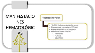 MANIFESTACIO
NES	
HEMATOLÓGIC
AS
• 10-50% de los paciente afectados
• Recuento de plaquetas <100,000
• Pobre relación con el sangrado
• Manifestaciones clínicas
• Petequias
• Purpura
• Equimosis
TROMBOCITOPENIA
 