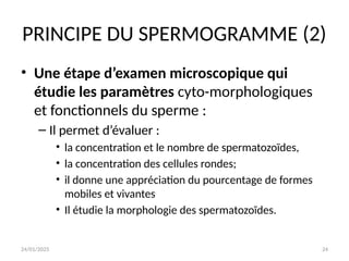 24/01/2025 24
PRINCIPE DU SPERMOGRAMME (2)
• Une étape d’examen microscopique qui
étudie les paramètres cyto-morphologiques
et fonctionnels du sperme :
– Il permet d’évaluer :
• la concentration et le nombre de spermatozoïdes,
• la concentration des cellules rondes;
• il donne une appréciation du pourcentage de formes
mobiles et vivantes
• Il étudie la morphologie des spermatozoïdes.
 