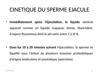 24/01/2025 28
CINETIQUE DU SPERME EJACULE
• Immédiatement après l’éjaculation, le liquide séminal
apparaît comme un liquide visqueux, dense, blanchâtre,
d’aspect floconneux dont le pH varie entre 7,2 et 8.
• Dans les 10 à 20 minutes suivant l’éjaculation, le sperme se
liquéfie sous l’action de plusieurs enzymes protéolytiques
d’origine testiculaire et prostatique (spermine).
 