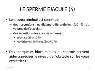 24/01/2025 31
LE SPERME EJACULE (6)
• Le plasma séminal est constitué :
– des sécrétions épididymo-déférentielles (10 % du
volume de l'éjaculat),
– des sécrétions des glandes annexes :
• prostate (15 à 30 %)
• et vésicules séminales (50 à 80 %).
• Des marqueurs biochimiques du sperme peuvent
aider à préciser le niveau de l'obstacle sur les voies
excrétrices
 