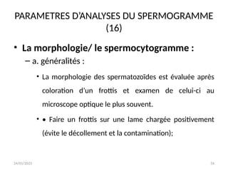 24/01/2025 54
PARAMETRES D’ANALYSES DU SPERMOGRAMME
(16)
• La morphologie/ le spermocytogramme :
– a. généralités :
• La morphologie des spermatozoïdes est évaluée après
coloration d’un frottis et examen de celui-ci au
microscope optique le plus souvent.
• • Faire un frottis sur une lame chargée positivement
(évite le décollement et la contamination);
 