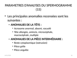 24/01/2025 61
PARAMETRES D’ANALYSES DU SPERMOGRAMME
(15)
• Les principales anomalies recensées sont les
suivantes :
– ANOMALIES DE LA TÊTE :
• Acrosome anormal, absent, vacuolé
• Tête allongée, amincie, microcéphale,
macrocéphale ,multiple
– ANOMALIES DE LA PIÈCE INTERMÉDIAIRE :
• Reste cytoplasmique (extrusion)
• Pièce grêle
• Pièce angulée
 