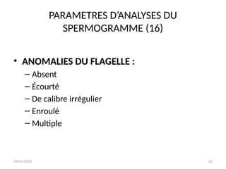 24/01/2025 62
PARAMETRES D’ANALYSES DU
SPERMOGRAMME (16)
• ANOMALIES DU FLAGELLE :
– Absent
– Écourté
– De calibre irrégulier
– Enroulé
– Multiple
 
