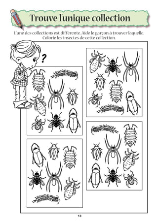 L’une des collections est différente.Aide le garçon à trouver laquelle.
Colorie les insectes de cette collection.
Trouve l’unique collection
13
 
