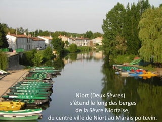 Niort (Deux Sèvres)
s'étend le long des berges
de la Sèvre Niortaise,
du centre ville de Niort au Marais poitevin.
 