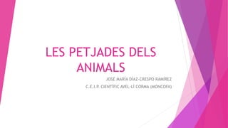 LES PETJADES DELS
ANIMALS
JOSÉ MARÍA DÍAZ-CRESPO RAMÍREZ
C.E.I.P. CIENTÍFIC AVEL·LÍ CORMA (MONCOFA)
 
