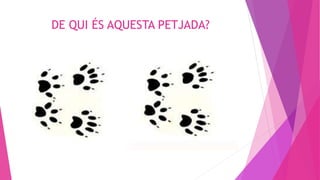 DE QUI ÉS AQUESTA PETJADA?
 