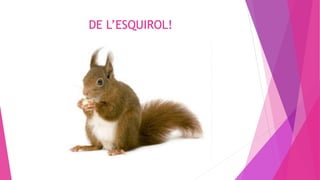 DE L’ESQUIROL!
 