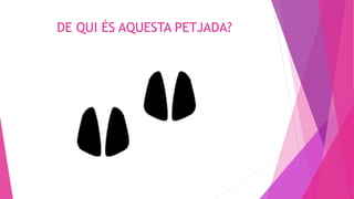 DE QUI ÉS AQUESTA PETJADA?
 