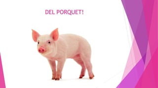 DEL PORQUET!
 