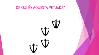 DE QUI ÉS AQUESTA PETJADA?
 