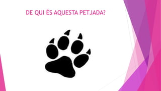 DE QUI ÉS AQUESTA PETJADA?
 