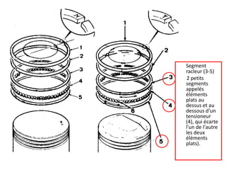 Segment racleur (3-5)       2 petits segments appelés éléments plats au dessus et au dessous d'un tensioneur (4), qui écarte l'un de l'autre les deux éléments plats). 