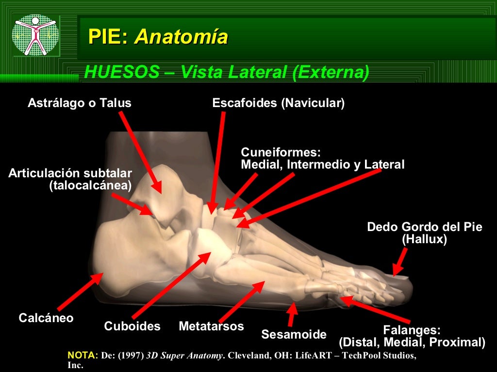 Lesiones de Pie Lesiones de Pie